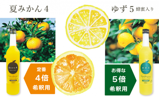 [№5226-0828] 柑橘 濃厚希釈 ジュース もっちり 柑橘ゼリー セット 山口県産 果物 フルーツ ギフト