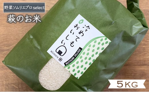 [№5226-1020]コシヒカリ 5kg みのる米 野菜ソムリエ プロselect