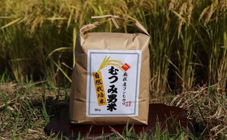 [№5226-0411]令和5年 自然栽培 むつみ男米 玄米 5kg