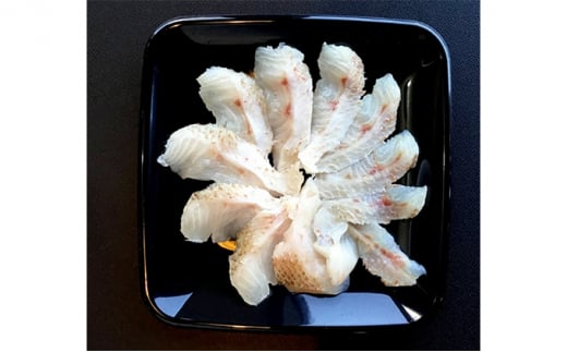 [№5226-0808] 魚 炙り のどぐろ アカムツ お造り 50g 個食 12皿セット 山口県産 3D急速冷凍仕様 刺身 切り身 高級魚 贈り物