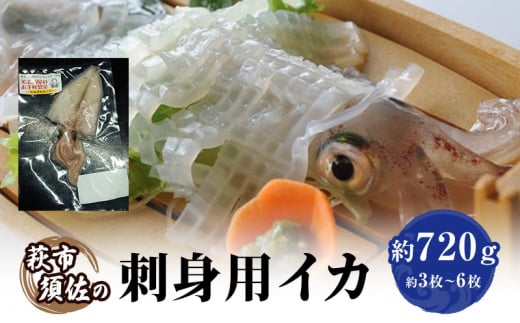 [№5226-1060]イカ 刺身用 約720g 烏賊 いか 魚介 魚介類