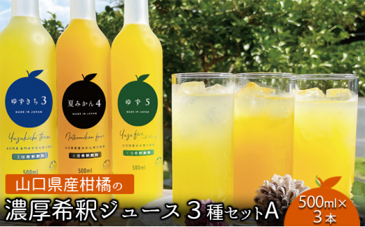 [№5226-0824] 柑橘 ジュース 濃厚希釈 山口県産 3種セットA 500ml×3本 セット ギフト