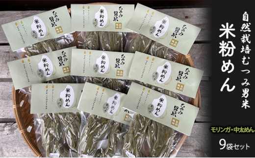 [№5226-0822]米粉めん 自然栽培 むつみ男米 モリンガ 中太めん 9袋セット グルテンフリー 麺