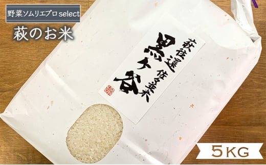 [№5226-1022]コシヒカリ 5kg 黒ヶ谷米 最上級 野菜ソムリエ プロselect