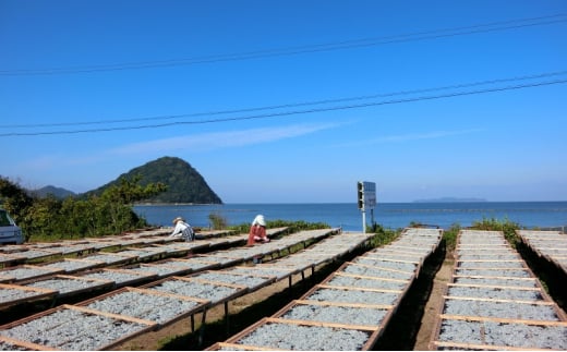 [№5226-1046]ちりめんじゃこ セット 天日干し 萩 ちりめん 130g×5 いりこ 450g×2 魚 小魚