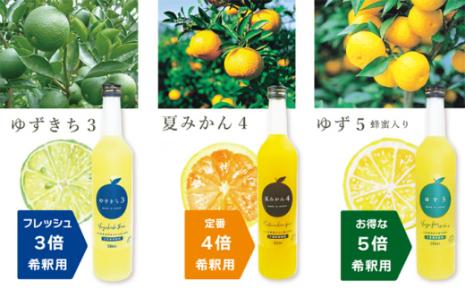 [№5226-0825] 柑橘 ジュース 濃厚希釈 山口県産 3種セットB 500ml×6本 セット ギフト