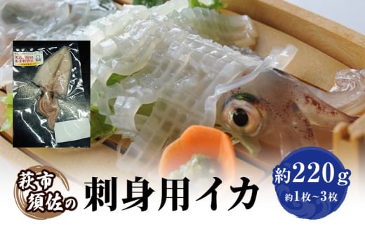 [№5226-1059]イカ 刺身用 約220g 烏賊 いか 魚介 魚介類