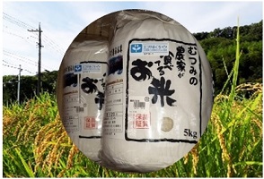 [№5226-0136]農家が食べてるお米「コシヒカリ」5kg×2