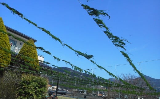 [№5226-0409]山口県 萩産 天然 海藻 セット こまめ小町セット 5【配送不可：離島】