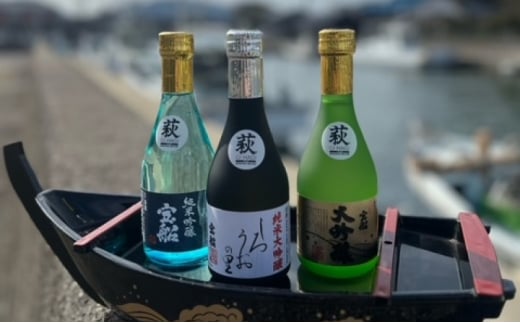 ☆GI萩取得☆中村酒造　日本酒宝船3種飲み比べセット