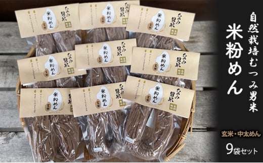 [№5226-0816]米粉めん 自然栽培 むつみ男米 玄米 中太めん 9袋セット グルテンフリー 麺