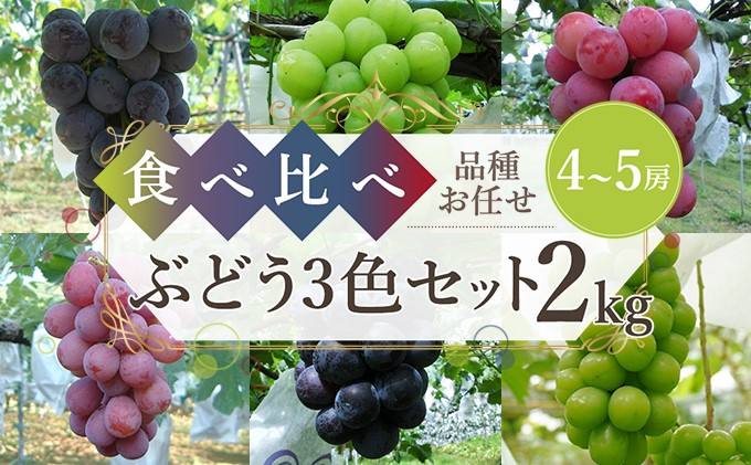 [№5226-0522] 石川果樹園 ぶどうおまかせパック ３色セット ２kg