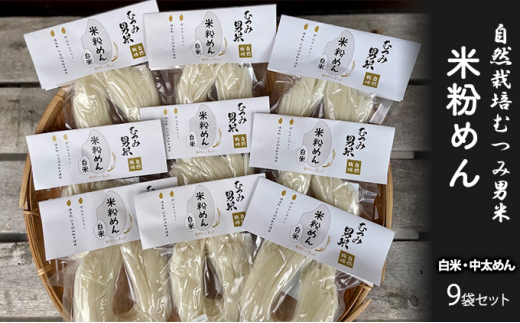 [№5226-0819]米粉めん 自然栽培 むつみ男米 白米 中太めん 9袋セット グルテンフリー 麺