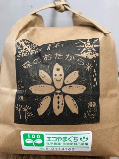 [№5226-0417]自然栽培米『朝日』 白米 10kg